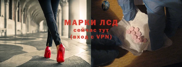 индика Верхний Тагил