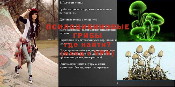 индика Верхний Тагил
