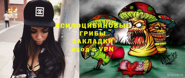 индика Верхний Тагил