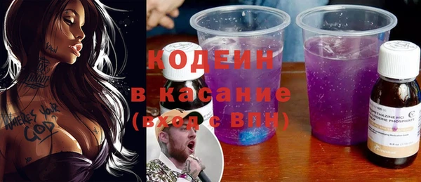 индика Верхний Тагил