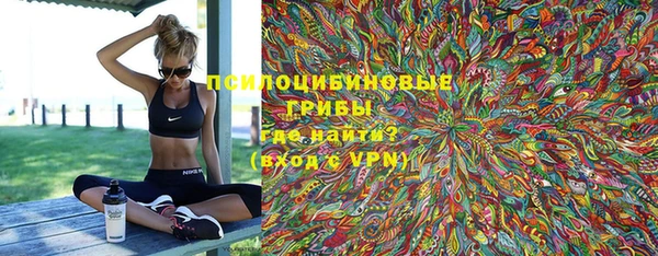 индика Верхний Тагил