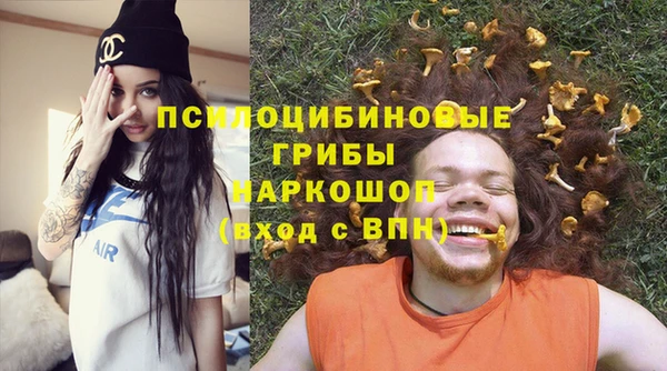 индика Верхний Тагил