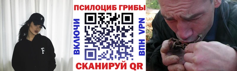 Псилоцибиновые грибы Cubensis  наркота  Великий Новгород 