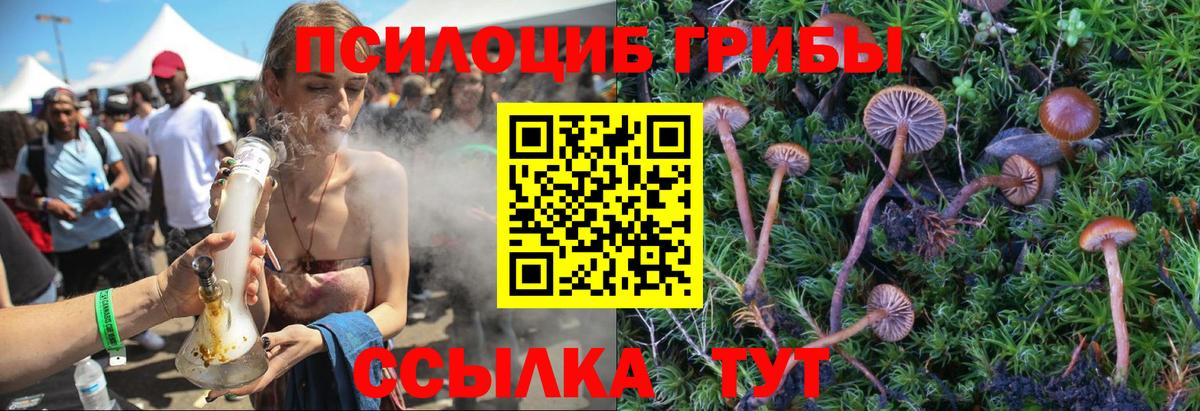 Псилоцибиновые грибы мицелий Великий Новгород