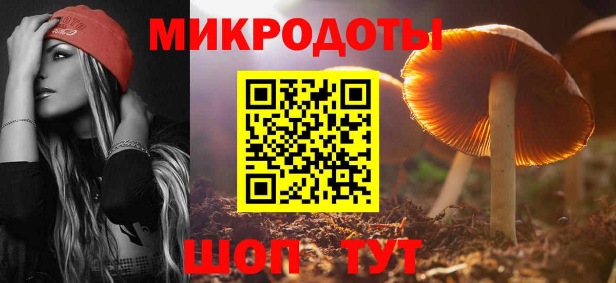Псилоцибиновые грибы Magic Shrooms Великий Новгород