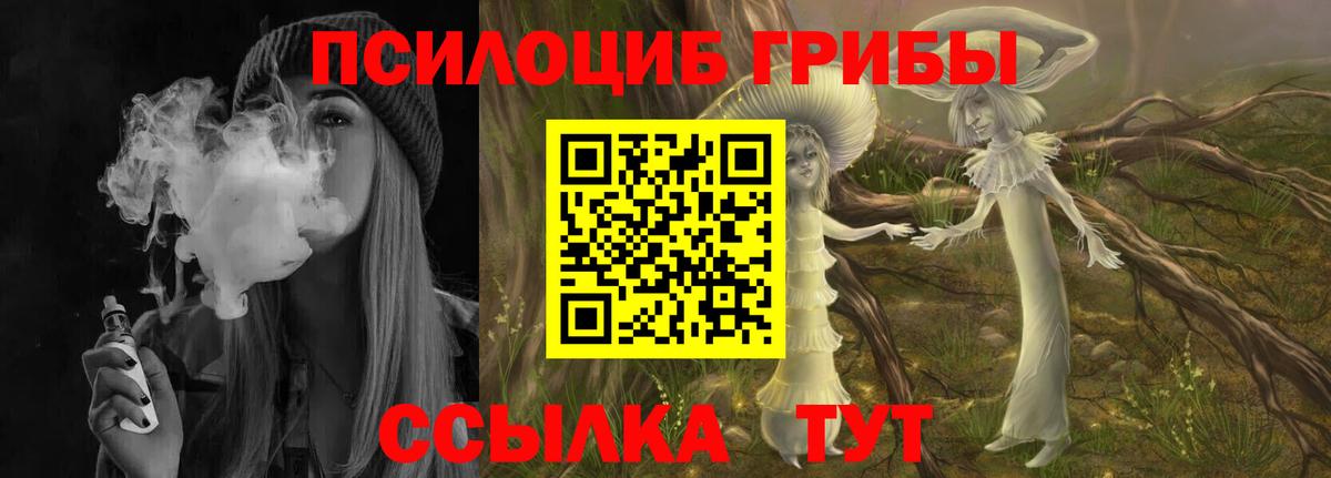 Псилоцибиновые грибы Psilocybine cubensis  где купить   Великий Новгород 